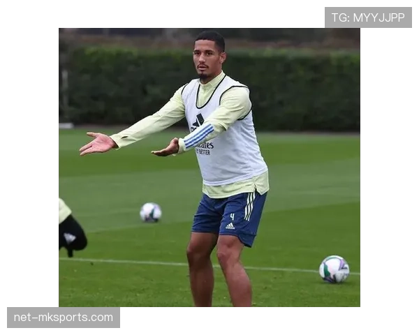 威廉·萨利巴18岁法甲首秀表现解析：防守潜力与适应性评估